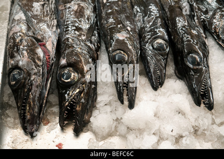 Espada (Pesci sciabola) pesce per la vendita, il mercato del pesce, Funchal, Madeira Foto Stock