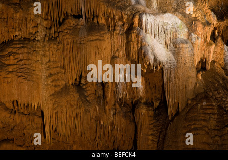 Speleothem re sopra il baldacchino Onondaga Grotta parco dello Stato del Missouri Foto Stock