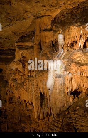 Speleothem re sopra il baldacchino Onondaga Grotta parco dello Stato del Missouri Foto Stock