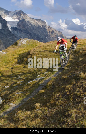 Due mountain bike cavalcare un sentiero vicino a Les Arcs nelle Alpi francesi. Foto Stock