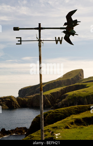 Banderuola con simbolo di Fair Isle osservatorio ornitologico con pecore Rock in background sul Fair Isle Shetland Foto Stock