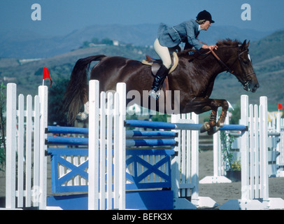 Horse jumping barriera durante la competizione equestre Foto Stock