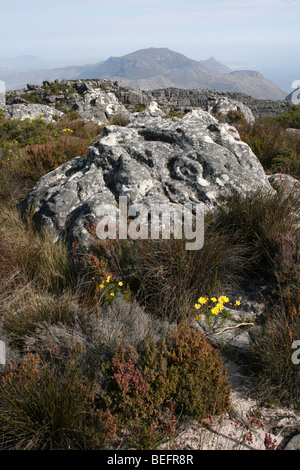 Rocce sul Vertice di Table Mountain e Cape Town, Sud Africa Foto Stock