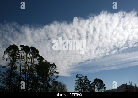 Drammatica Altocumulus Sky prese a Underburg / Himeville, KwaZulu-Natal, Sud Africa Foto Stock