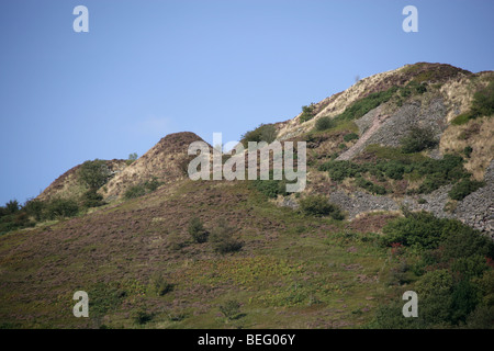 Vista ravvicinata del vertice Teggs naso Country Park. Foto Stock