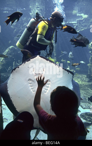 I bambini guardare subacqueo Alimentazione di pesci esotici all'interno dell'acquario presso Atlantis Hotel, a Nassau, Bahamas Foto Stock