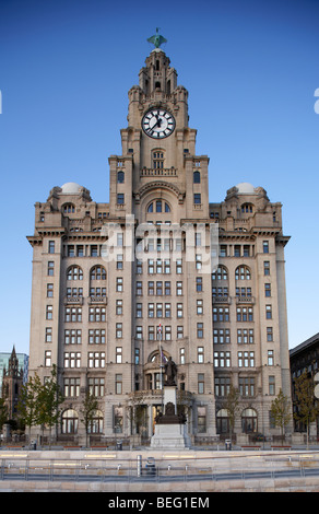 Royal Liver Building uno dei liverpools tre grazie edifici elencati sul lungomare di liverpool al Pier Head Foto Stock