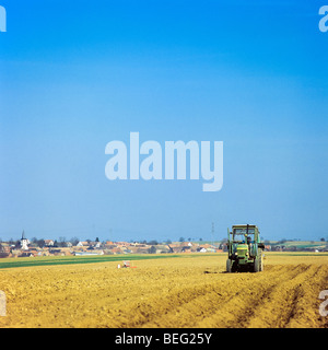 Il trattore recuperando terreno di un piantati campo di patate, Alsazia, Francia Foto Stock