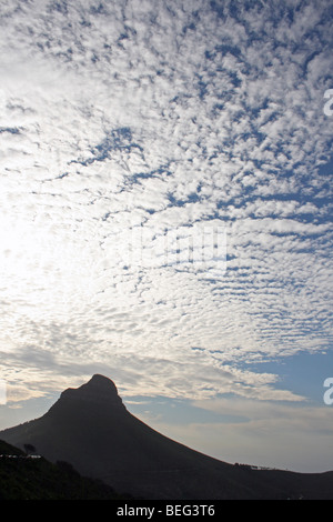 Testa di leone con drammatica Altocumulus Sky, Table Mountain e Cape Town, Sud Africa Foto Stock