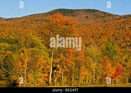 Vermont Mad River Valley in autunno Foto Stock