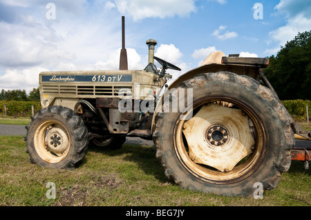 Vecchio Italiano Lamborghini 613 DTV vigneto trattore - sud-Touraine, Francia. Foto Stock