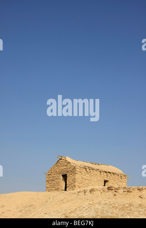 Valle del Giordano, la vecchia data farm di Palm di Deir Hajla Monastero Foto Stock