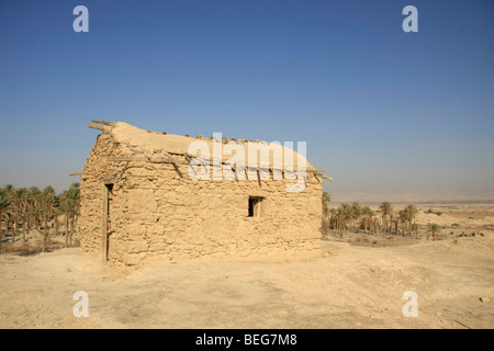 Valle del Giordano, la vecchia data farm di Palm di Deir Hajla Monastero Foto Stock