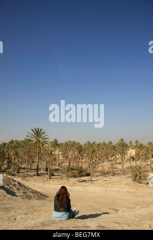 Valle del Giordano, la vecchia data farm di Palm di Deir Hajla Monastero Foto Stock