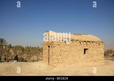 Valle del Giordano, la vecchia data farm di Palm di Deir Hajla Monastero Foto Stock