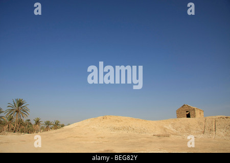 Valle del Giordano, la vecchia data farm di Palm di Deir Hajla Monastero Foto Stock