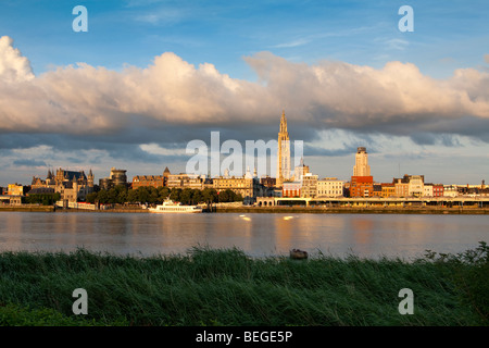 La Cattedrale di Anversa e la città al tramonto sulla riva del fiume Schelde. Foto Stock