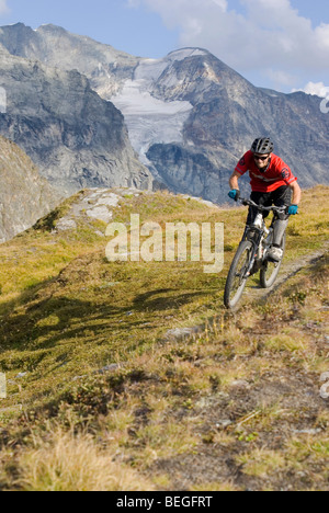 Un mountain biker cavalca un singletrack trail in Les Arcs nelle Alpi francesi. Foto Stock