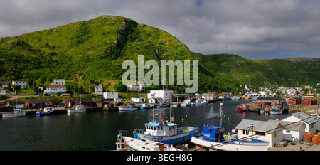 Panorama del Porto di petty-maddox cove imbarcazioni al dock penisola di Avalon Terranova Foto Stock