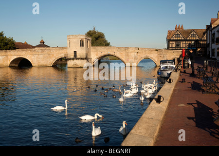 Inghilterra, Cambridgeshire, St Ives, Quay, cigni e anatre sul Fiume Great Ouse dal ponte di pietra e la cappella Foto Stock