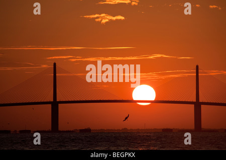 La mattina presto sunrise al Sunshine Skyway bridge di San Pietroburgo, Florida. Foto Stock