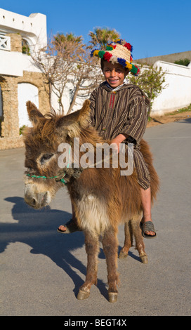 Giovane ragazzo marocchino su un asino Tangeri, Marocco Foto Stock