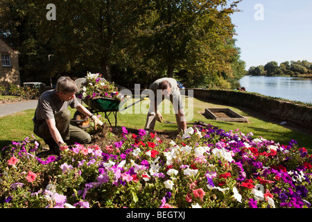 Inghilterra, Cambridgeshire, Huntingdon, Hartford sagrato della chiesa parrocchiale, Consiglio dei lavoratori il mantenimento di letto di fiori Foto Stock