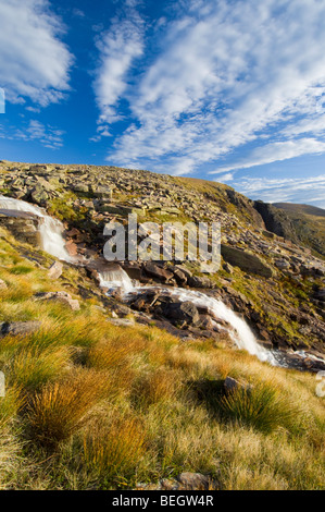 Cascate sul Allt Feithe Buidhe stream, Cairngorm altopiano. Il color ruggine-tussocks colorate in primo piano sono erba di cervo Foto Stock