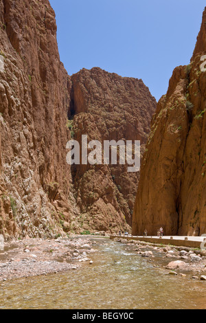 Todra Gorge e fiume Dades Valle Alto Atlante Marocco Foto Stock