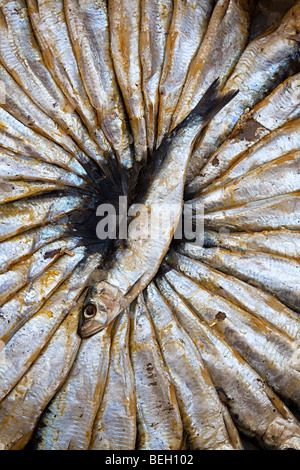 Sardine in vendita nel mercato Sineu Mallorca Spagna Spain Foto Stock