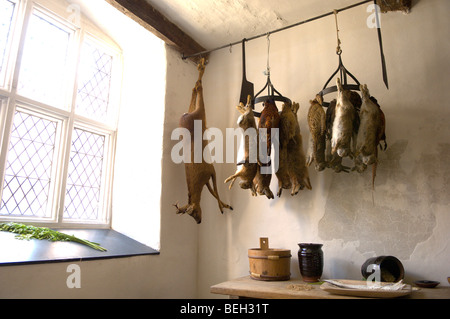 Gioco di riagganciare in Plas Mawr casa medioevale, Conwy, Gwynedd, Wales, Regno Unito. Foto Stock