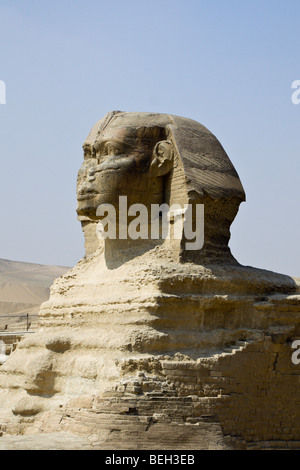 Grande Sfinge di Giza, il Cairo, Egitto Foto Stock