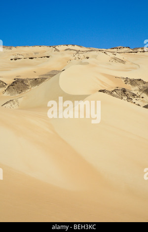 Dune di sabbia nel deserto libico, Deserto Libico, Egitto Foto Stock