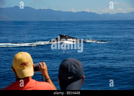 I turisti vedere Humpback Whale al whale watching, Megaptera novaeangliae, Playas del Coco, Costa Rica Foto Stock