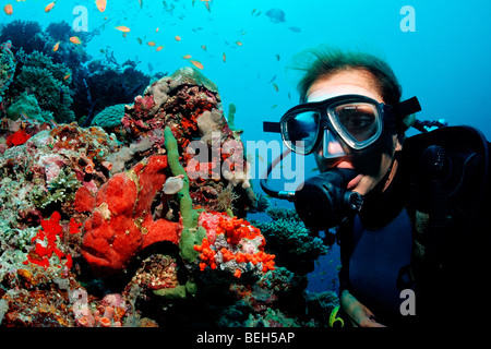 Scuba Diver guardando gigante rosso pesce rana, Antennarius commersonii, Nord atollo di Ari, Maldive Foto Stock