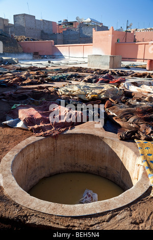 Berber concerie, Marrakech, Marocco Foto Stock