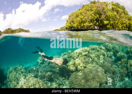 Esplora Snorkeler shallow Coral Reef, Micronesia, Palau Foto Stock