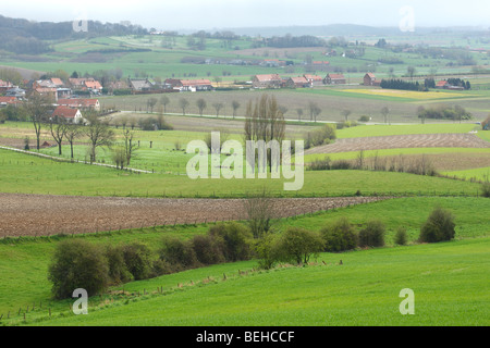 Paesaggio di Bocage con siepi e alberi, Belgio Foto Stock