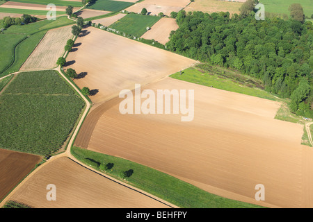 Fila di alberi e bosco lungo il percorso nei campi e praterie dall'aria, Belgio Foto Stock