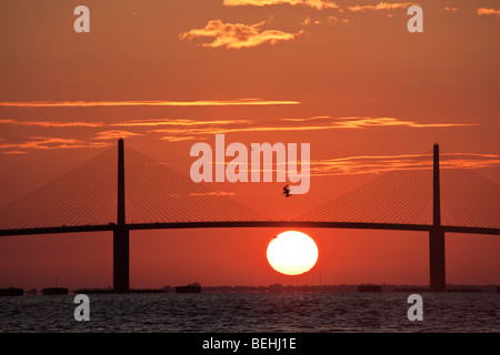 La mattina presto sunrise al Sunshine Skyway bridge di San Pietroburgo, Florida. Foto Stock