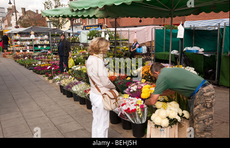 Inghilterra, Cambridgeshire, St Ives, pavimentazione, mercato settimanale in corso di stallo di fiori Foto Stock