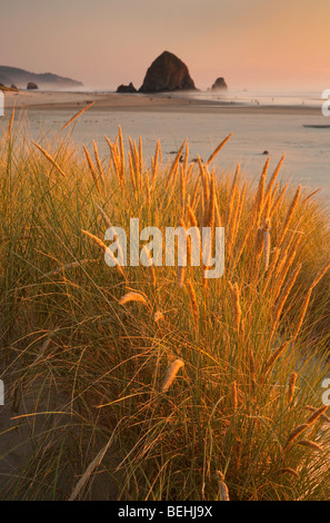 Cannon Beach e Haystack Rock Foto Stock