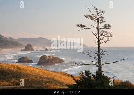 Ecola State Park Foto Stock