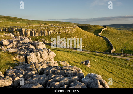 Pavimentazione di pietra calcarea vicino Conistone, Superiore Wharfedale, nel Yorkshire Dales National Park, Inghilterra Foto Stock