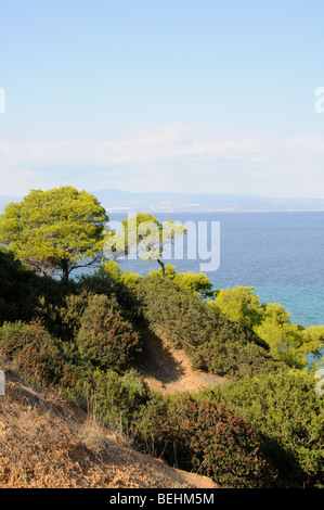 Greco paesaggio costiero che si affaccia sul Golfo Toroneos a Nea Fokea (Calcidica) Grecia settentrionale Foto Stock