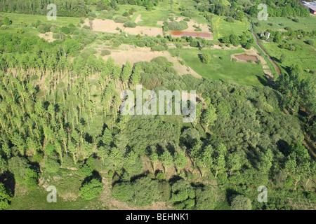 Superficie boschiva, zone umide e reedland dall'aria, Demerbroeken riserva naturale, Belgio Foto Stock