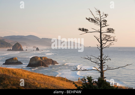 Ecola State Park Foto Stock