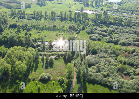 Superficie boschiva, zone umide e reedland dall'aria, Demerbroeken riserva naturale, Belgio Foto Stock