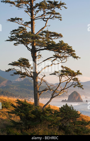 Ecola State Park Foto Stock