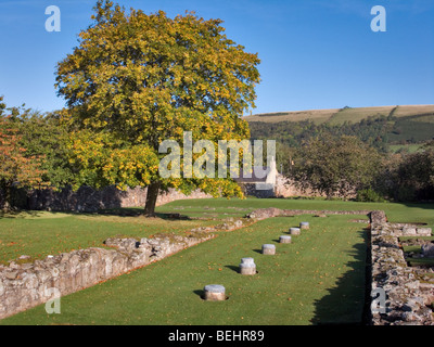 I chiostri di Melrose Abbey a Scottish Borders Foto Stock